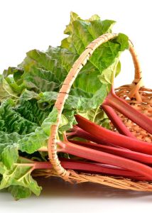 Rhubarb 