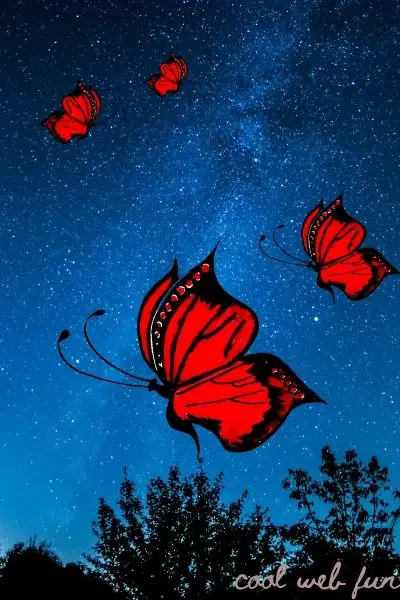 butterfly drawing with animated background