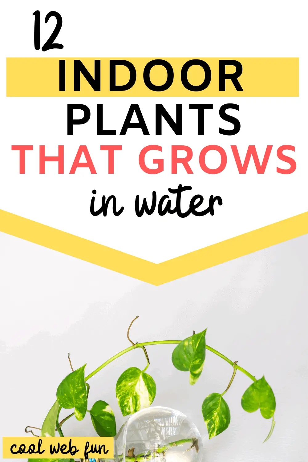 12 plants that grows in water