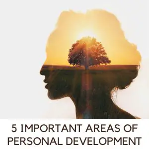 areas of personal development