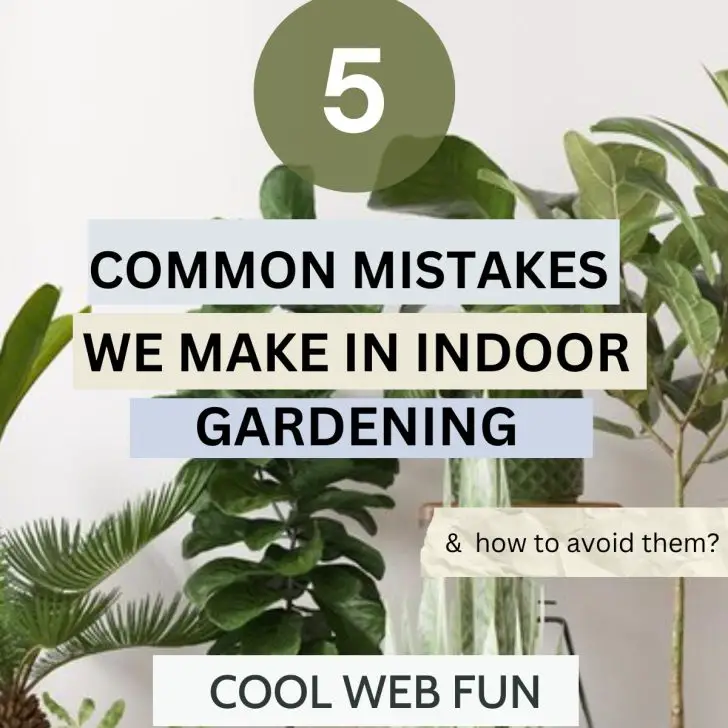 Common Indoor Gardening Mistakes