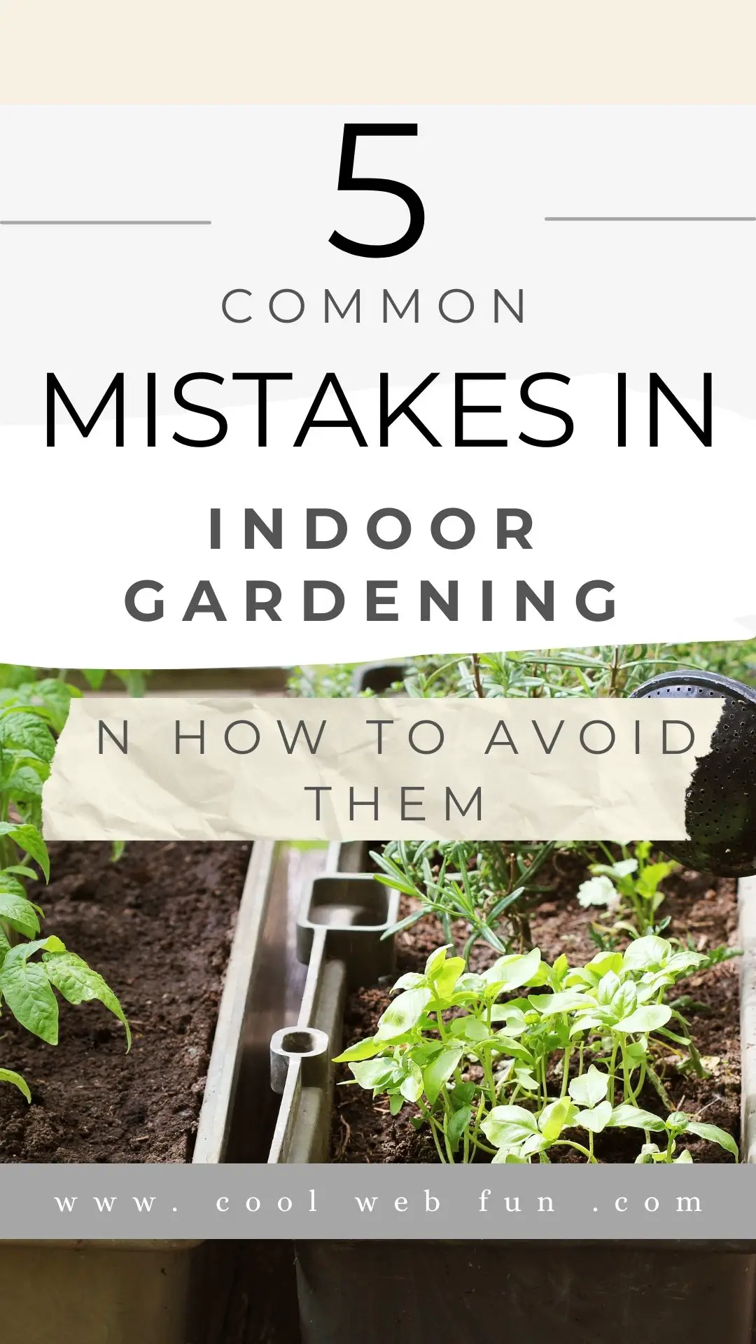 Common Indoor Gardening Mistakes