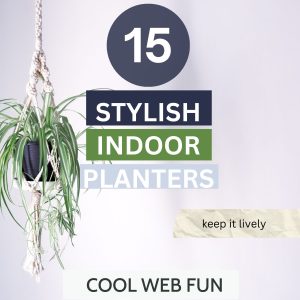 Stylish Indoor Planters