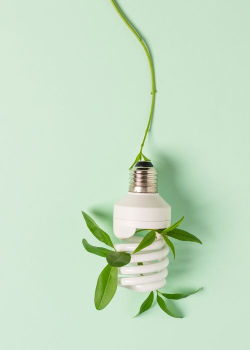 Sustainable Lighting: