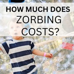 zorbing costs