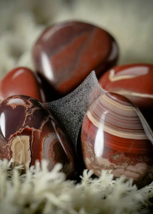 Chestnut Jasper
